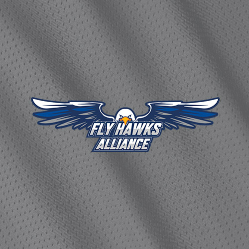 collective-fly-hawks-alliance