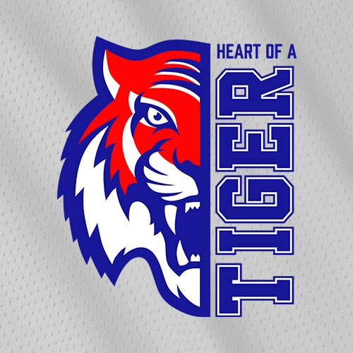 collectives-heart-of-a-tiger