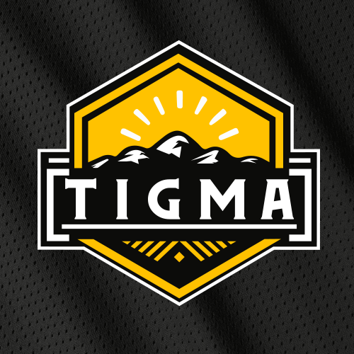 TIGMA-Web